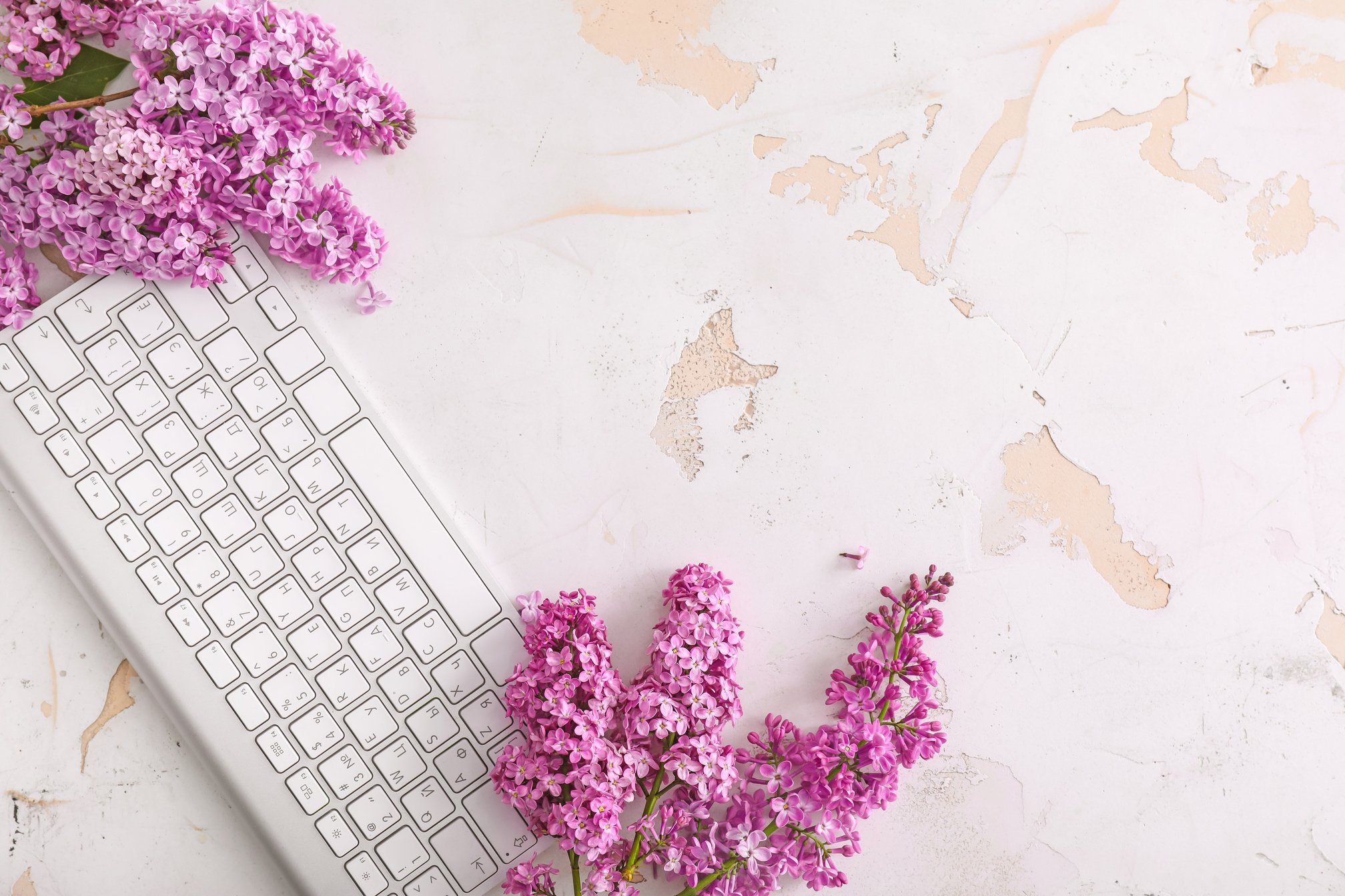 Beautiful Lilac Flowers and PC Keyboard on Table